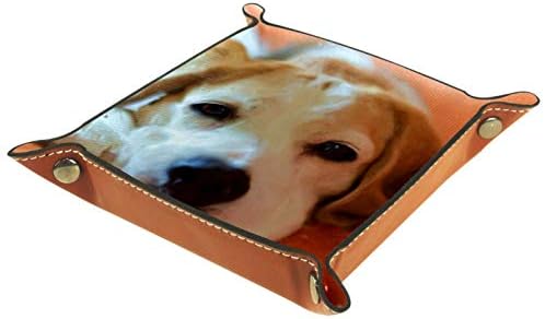 Slikanje Beagle Dog Lijep organizator Skladište za skladištenje kreveta Beddide Caddy Desktop ladica