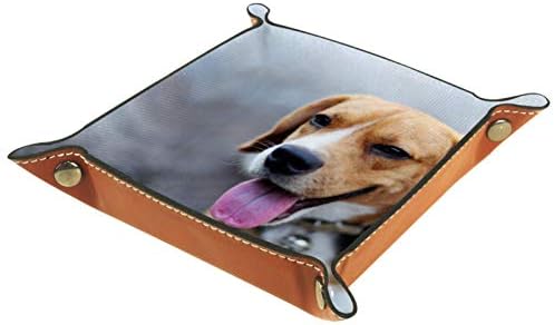 Lyetny Beagle pas sjedi na putu Slatka za skladištenje ladice za skladištenje plata Bedde Caddy Desktop Promjena