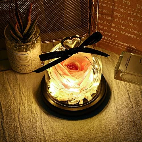 Fansipro poklon za Dan zaljubljenih ruža noćna lampa Love Ornament mikro pejzažni dekor, 13,5