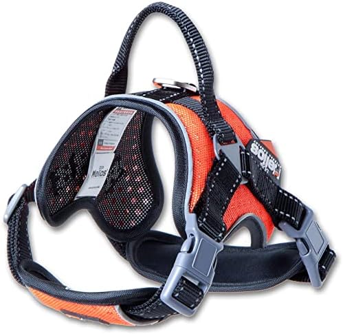 Pas HELIOS ® 'Scorpion' sportski pojas za pse visokih performansi slobodnog dometa