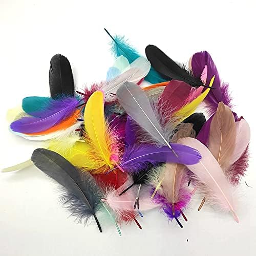 100pcs/Lot šareno perje za zabavu Craft prirodno gusko pero za DIY Bijelo vjenčano perje za izradu nakita