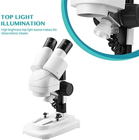 Lhllhl 2 0x / 40x Stereo mikroskop 45 ° nagnuti okulari sa Eyecup Top LED Vision PCB Saler mobilni