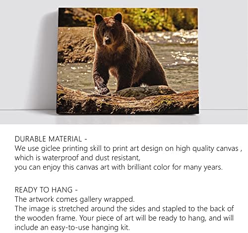 roaux moderni medvjed platneni zid Art Decor Poster slike životinja slike divljih životinja grafike