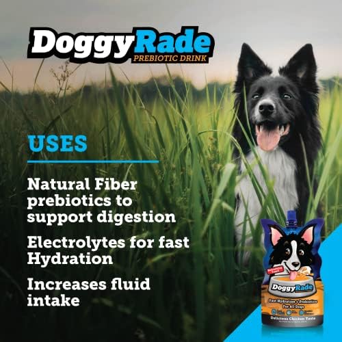 DoggyRade-sportski napitak za pse | elektroliti, nutrijenti & aminokiseline | piće za brzu