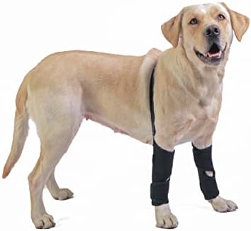 Totojiong proteze za pseće noge jastučići za koljena za prednje noge, proteza za koljena za pse,