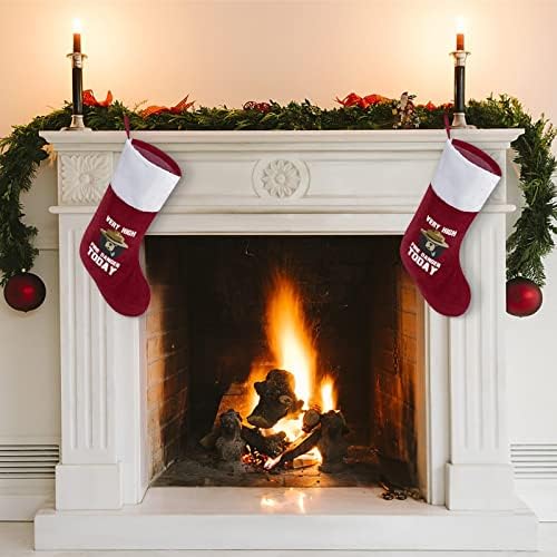 Smokey The Bear Fire OPASNOST Božićne čarape za čarape sa plišanim kaminom visi za Xmas Tree