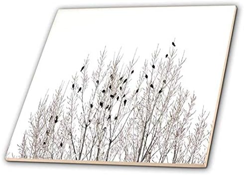 3drose fotografija vrha zimskog stabla sa pticama-keramička pločica, 4 inča