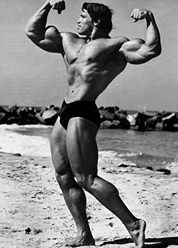 Poster Arnold Schwarzenegger 32 inch x 24 inch