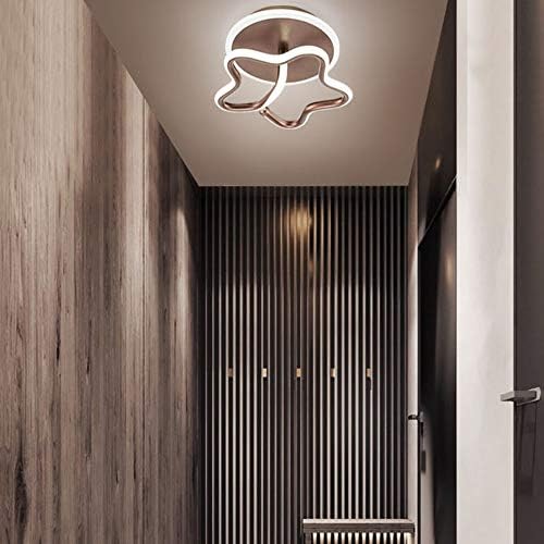 Zhaolei LED dnevni boravak stropne svjetiljke Dječja dvorana hodnik Koridor stropne svjetiljke Star potkrovlje