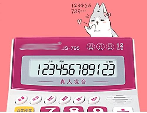 Depila Kalkulator 12-znamenkasti LCD prikaz Financijski namjenski kalkulator Veliki standardni kalkulator