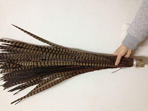 Xucus Veleprodaja savršeno 100kom prirodno žensko perje fazana 28-32inch / 70-80cm dekorativno uradi sam
