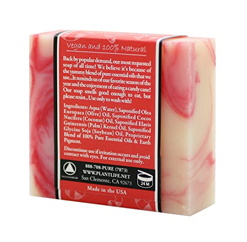 Plantlife Candy Cane 6-Pack Bar sapun-hidratantni i umirujući sapun za vašu kožu-ručno izrađen