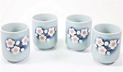 6 Plavi proljetni cvijet japanski keramički tetsubin čajnik i tethups infuser sa ručkama od ratana