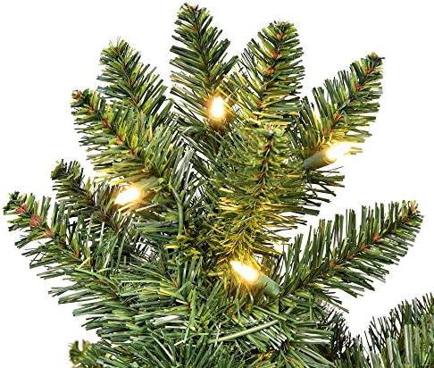 Vickerman 5,5 'x 37 kapela pine umjetna božićna polovina, topla bijela LED svjetla sa durama