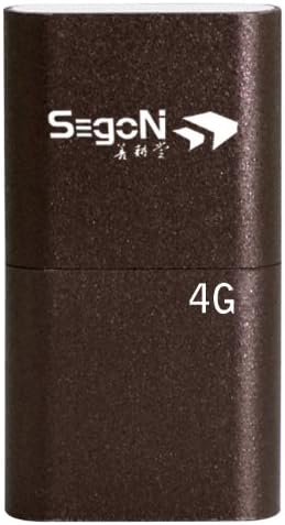 Segon 97-N3C-14F10003-00 USB flash memorija DIN-S 4G