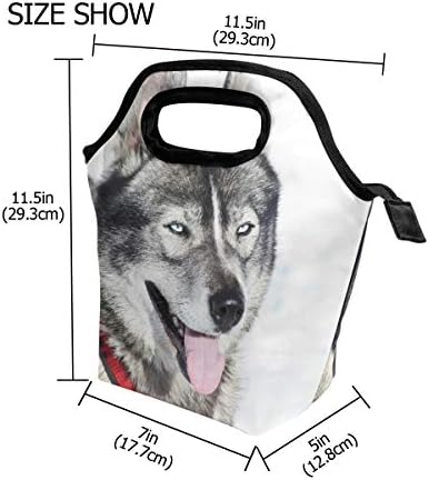 HEOEH Huskie pas smiješna torba za ručak sa životinjama Cooler tote torba izolovane kutije za ručak sa patentnim