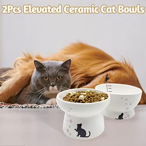 Bnosdm keramičke podignute posude za hranu za mačke 2-dijelne uzdignute posude za hranu i vodu Set nagnutih jela