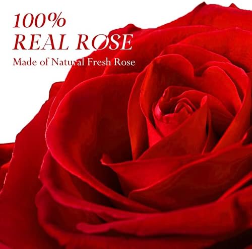 Yowivon je sačuvao crvenu pravu ružu, srebrna ogrlica za nju / mamu / žene / djevojku / ženu /