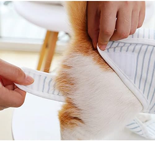 Apott Cat Recovery Odeća za kućne ljubimce prugasta košulja za disanje hirurgije za trbušne rane kože rane za