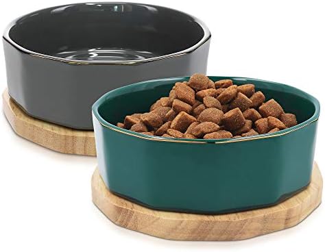 Navaris keramička posuda za pse-Set od 2 posude za vodu ili hranu od 800 ml za kućne ljubimce i