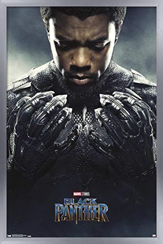 Trendovi Međunarodni Marvel Cinematic Universe Black Panther-jedan zidni Poster, 14.725 x 22.375 , Crna uokvirena verzija
