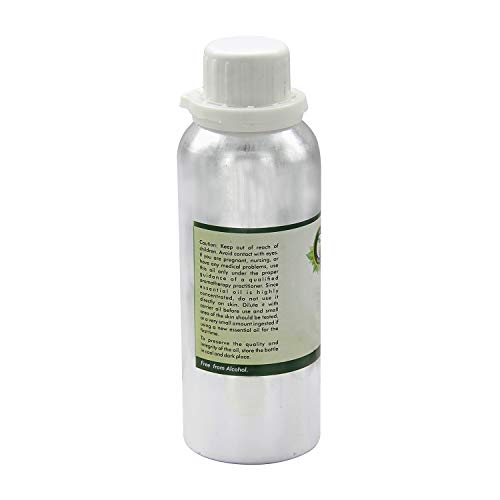 R V Essential Pure Vanilla Esencijalno ulje 1250ml - Vanilla Planifolia