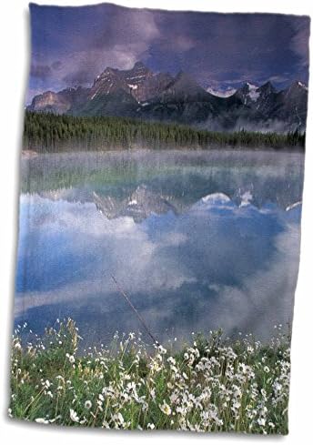 3D Rose Alberta-Banff Nacionalni park. Jezero Maligne Wildflowers-CN01 GJE0000-Gavriel Jecan Ručni / Sportski