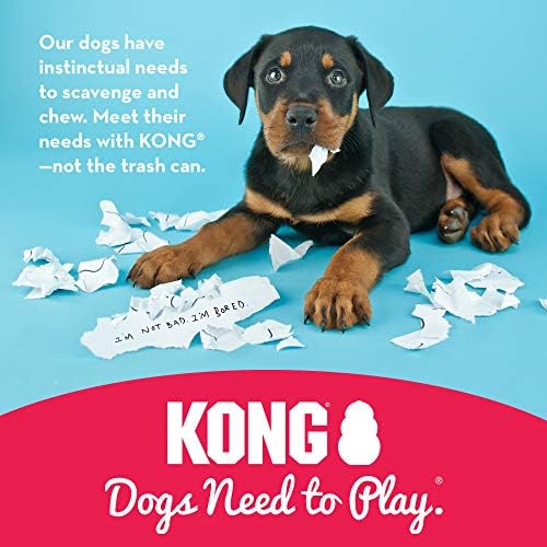 KONG-Puppy Toy Prirodna guma za izbijanje zuba-zabava za žvakanje , jurenje i donošenje-štenci