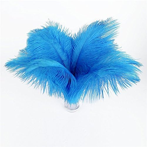 Zamihalaa-10kom / Lot jezero plavo nojevo perje za zanate 15-75cm dekor od Nojevog perja Uradi Sam karnevalske