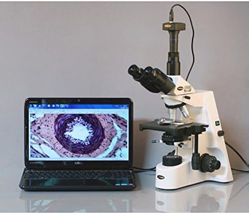 AMScope T690C-DK-PL trinokularni sastojni mikroskop, 40x-2500x uvećanja, WH10x i WH25x Super-Widefield