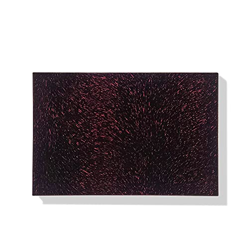 Pinelife Magnetic makeup Palette-PM002 crna / crvena