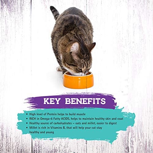 Inception® Wet Cat Food Riba Recept - Kompletna i uravnotežena hrana za mačka - Legume Besplatno