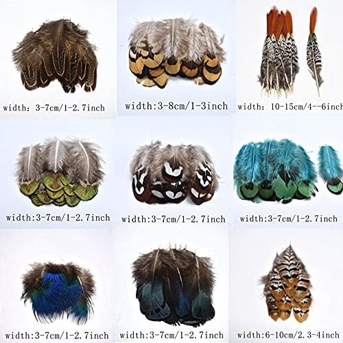 20-100kom prirodno perje fazana za odjeću DIY paunovo perje za izradu nakita dekor pileće pero-20 kom