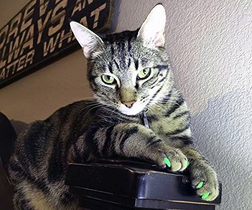 Purrdy Paws 1 godina snabdevanja meke kape za nokte za mačke neonsko crvene velike-Extra lepkovi