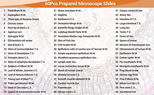60 pripremljenih mikroskopskih tobogana za djecu i studente, Set stakala za mikroskop uključujući