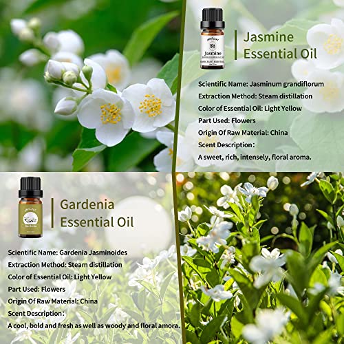 Yetius 2 Pack Jasmine Gardenia Esencijalno ulje Pure Gardenia Fražna ulja Jasmine Aromaterapija ulja za difuzor