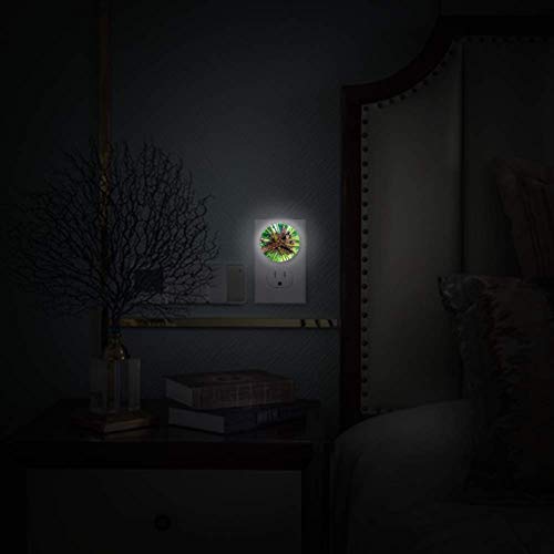 Unicey Palma Trunk Coco Fruit Plug in LED noćno svjetlo sumrak do zore Automatsko uključivanje/isključivanje