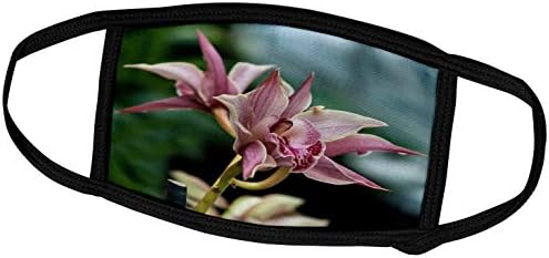 3drose Roni Chastain cvjetno-ružičaste orhideje-navlake za lice
