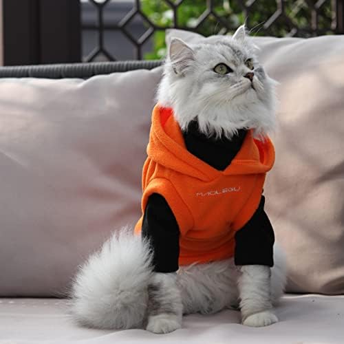 Mačke i psi Jeseni i zimski dvoetažni dvodijelni odijelo s kapuljačom