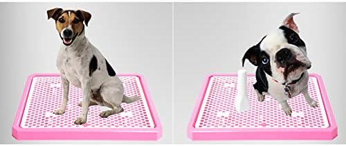 Rentongye PET potty pisoar, ravni pas toalet koji se lako čiste i higijenski, bez mirisa i koroziju,