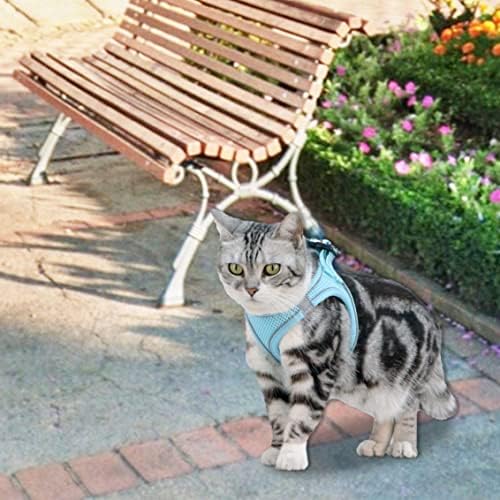 Pas kabel i povodac za šetnju, bez prigušivanja Escape Excal Cat Cat svežanj, reflektirajuća obloga, mrežasti korak u prsluku za male i srednje pse i mačke (plavi XS)