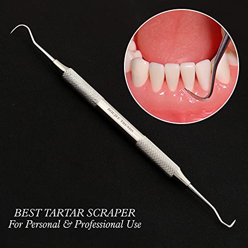 Profesionalni zubni alati | Tartar strugač za stomatologa, ličnu upotrebu i kućne ljubimce | Remover plaketa sa udobnim hvataljkama, dvostrukim šupljim skalerom | Japanski nehrđajući čelik
