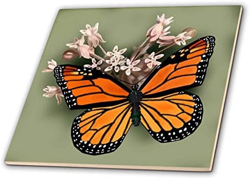 3drose ct_212839_1 Monarch Butterfly & Pink Milkweed Ceramic Tile, 4