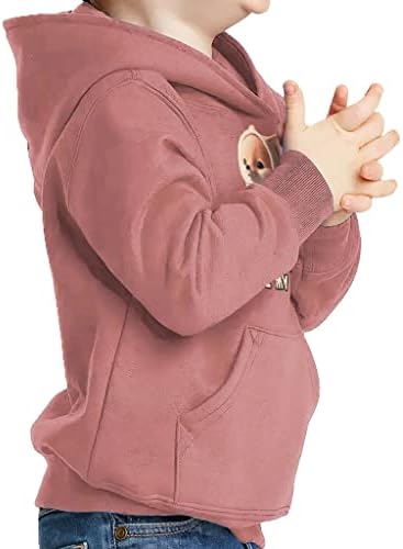Volim moju nana toddler pulover hoodie - slatka kawaii spužva fleece hoodie - ilustracija hoodie za djecu