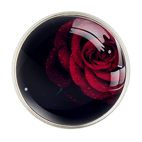 Rose crvene kapi Rain 2pcs Aromaterapija Esencijalni difuzor ulja Metalni metar sa ventilacijskim