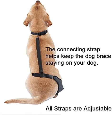 WOVOMO proteza za koljena za pse, potpora za protezu za koljena pasjeg psa s metalnim trakama