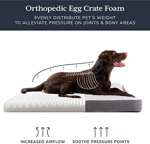 Ohgeni ortopedski pas za pse za velike pse sa plišanim jajašnjim pjenom, vodootporan i strojno
