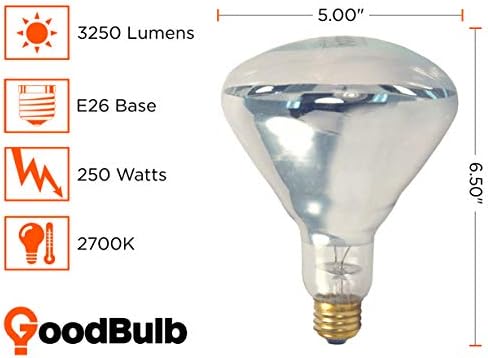 GoodBulb 25o Watt toplotna lampa BR40 sijalice / sijalica restorana sa žarnom niti sa srednjom bazom