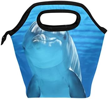 Heoeh Smile torba za ručak sa životinjama za delfine Cooler tote torba izolovane kutije za ručak sa patentnim