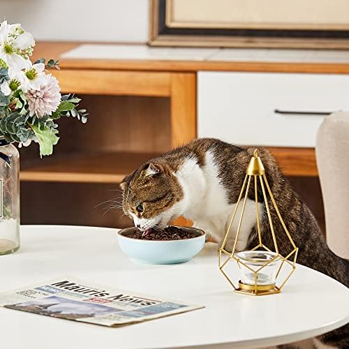 Howise 5.3 u keramičkim mačkama, plitke posude za hranu Male kućne posude Mačke posuđe za hranu i vodu, 3 pakovanja